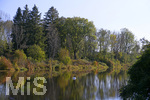 22.10.2020, Bad Wrishofen, an der Wertach, ein Schwan auf dem Wasser.