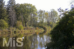 22.10.2020, Bad Wrishofen, Herbst an der Wertach, ein Schwan auf dem Wasser.