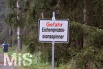 01.12.2020, Warnschild vor Eichenprozessionsspinner in einem Wald bei Augsburg.