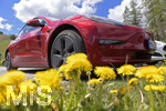 06.06.2021, Ausflugsziel Hopfen am Hopfensee (Bei Fssen im Allgu),   EIn roter Elektro-PKW Tesla Model 3 steht am Parkplatz, im Vordergrund gelbe Lwenzahn.