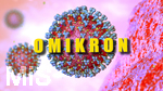 27.11.2021,  Grafische Darstellung Corona-Virus, (Corona-Virus Mikroskopische Ansicht), Eine neue SARS-CoV-2-Variante Omikron auch Bezeichnet als B.1.1.529 ist jetzt in Südafrika aufgetaucht und als Weltweit besorgniserregend eingestuft. 