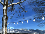 13.01.2022, Winterlandschaft bei Füssen im Allgäu. Der Hopfensee. Glühlampen hängen am Minigolfplatz an den Bäumen.