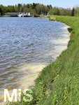 18.05.2022, Bad Wörishofen, Massig auftretende Blütenpollen im Wasser am Ufer des Wertach-Stausses Irsinger See.
