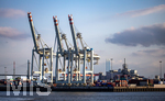 12.06.2022, Hamburg, Seehafen Hamburger Hafen. Container Terminal Tollerort (Steinwerder Hafen) mit seinen Containerbrücken
