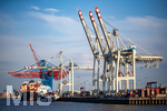 12.06.2022, Hamburg, Seehafen Hamburger Hafen. Container Terminal Tollerort (Steinwerder Hafen) mit seinen Containerbrcken