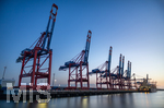 12.06.2022, Hamburg, Seehafen Hamburger Hafen. Eurogate Container Terminal mit seinen Containerbrücken im Hafen Waltershof