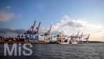 12.06.2022, Hamburg, Seehafen Hamburger Hafen. Container Terminal Burchardkai im Hafen Waltershof mit seinen Containerbrücken