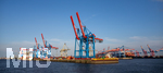 12.06.2022, Hamburg, Seehafen Hamburger Hafen. Container Terminal Burchardkai im Hafen Waltershof mit seinen Containerbrücken