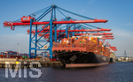 12.06.2022, Hamburg, Seehafen Hamburger Hafen. das Containerschiff AL MURAYKH (Malta) liegt im Containerhafen Waltershof am Container Terminal Burchardkai