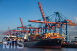 12.06.2022, Hamburg, Seehafen Hamburger Hafen. (L-R) das Containerschiff CSCL SATURN (Hongkong) und das Containerschiff TOKYO BAY (Liberia) liegen am Container Terminal Tollerort (Steinwerder Hafen)