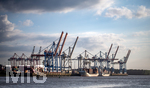 12.06.2022, Hamburg, Seehafen Hamburger Hafen. Container Terminal Burchardkai im Hafen Waltershof mit seinen Containerbrcken
