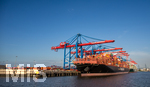 12.06.2022, Hamburg, Seehafen Hamburger Hafen. das Containerschiff AL MURAYKH (Malta) liegt im Containerhafen Waltershof am Container Terminal Burchardkai