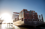 12.06.2022, Hamburg, Seehafen Hamburger Hafen. das Containerschiff  AL MURAYKH (Malta) liegt im Containerhafen Waltershof am Container Terminal Burchardkai
