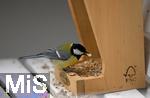 22.09.2022, Singvögel im heimischen Garten in Bad Wörishofen, Eine Kohlmeise (Parus major) am Futtertrog