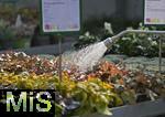 23.09.2022, Gartencenter Gilg Buchloe im Unterallgäu,  Die Blumen in den Töpfen müssen regelmässig gewässert werden.
