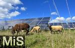 27.09.2022, Solarpark mit den PV-Modulen in Mindelheim im Unterallgäu,  Schafe weiden vor den Modulen.
