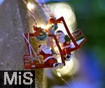 25.11.2022, Weihnachtsauslage in einer Gärtnerei in Buchloe (Bayern), Advent-Stimmung im Verkaufsraum. Funkelnde Lichter verschwimmen im Unscharfen. Vorne ein Deko-Anhänger mit einem Weihnachtsmann in einer Ski-Lift-Gondel.
