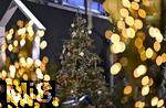 25.11.2022, Weihnachtsauslage in einer Gärtnerei in Buchloe (Bayern), Advent-Stimmung im Verkaufsraum. Ein festlich dekorierter Weihnachtsbaum. 