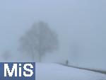 32.01.2023, Bad Wörishofen, Nebel und Schnee. Ein Spaziergang wird zur tristen Angelegenheit.