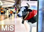01.11.2022, Airport Lissabon in Portugal, Eine Plastik-Kuh in Lebensgröße am Foodcourt mit vielen Restaurants im Wartebereich des Abflugterminals 