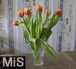 04.03.2023, Kaufbeuren, Auf einem Tisch steht eine Vase mit Frühlings-Blumendeko, Tulpenstrauss.