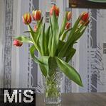 04.03.2023, Kaufbeuren, Auf einem Tisch steht eine Vase mit Frühlings-Blumendeko, Tulpenstrauss.
