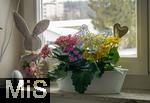 04.03.2023, Kaufbeuren, Auf einer Fensterbank steht Frühlings-Blumendeko mit Schmetterlingsform.