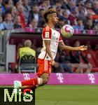 20.05.2023, Fussball 1. Bundesliga 2022/2023, 33.Spieltag, FC Bayern München - RB Leipzig, in der Allianz-Arena München.  Kingsley Coman (FC Bayern München) am Ball 