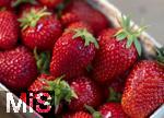 25.05.2023,  Erdbeeren vom Supermarkt aus Deutschland..   