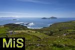 02.09.2023, Irland Land und Leute, Roadtrip am Ring of Kerry, der Kstenstrasse am Atlantik entlang im County Kerry.    Grne Hgel und saftige Wiesen direkt am Atlantischen Ozean. 