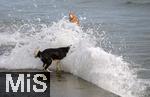 04.09.2023, Irland Land und Leute, Kstenstadt Tramore bei Waterford (Irland) im Sdosten. Ein Hund wird beim Baden am Pier von einer Wasserfontne des Atlantiks berrascht.
