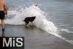 04.09.2023, Irland Land und Leute, Kstenstadt Tramore bei Waterford (Irland) im Sdosten. Ein Hund wird beim Baden am Pier von einer Wasserfontne des Atlantiks berrascht.  