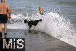 04.09.2023, Irland Land und Leute, Kstenstadt Tramore bei Waterford (Irland) im Sdosten. Ein Hund wird beim Baden am Pier von einer Wasserfontne des Atlantiks berrascht.  