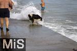 04.09.2023, Irland Land und Leute, Kstenstadt Tramore bei Waterford (Irland) im Sdosten. Ein Hund wird beim Baden am Pier von einer Wasserfontne des Atlantiks berrascht.  