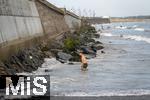 04.09.2023, Irland Land und Leute, Kstenstadt Tramore bei Waterford (Irland) im Sdosten. Ein Hund beim Baden in den Wellen des Atlantiks.