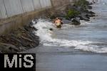 04.09.2023, Irland Land und Leute, Kstenstadt Tramore bei Waterford (Irland) im Sdosten. Ein Hund beim Baden in den Wellen des Atlantiks.