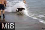 04.09.2023, Irland Land und Leute, Kstenstadt Tramore bei Waterford (Irland) im Sdosten. Ein Hund wird beim Baden am Pier von einer Wasserfontne des Atlantiks berrascht.  