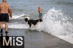 04.09.2023, Irland Land und Leute, Kstenstadt Tramore bei Waterford (Irland) im Sdosten. Ein Hund wird beim Baden am Pier von einer Wasserfontne des Atlantiks berrascht.  