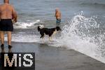 04.09.2023, Irland Land und Leute, Kstenstadt Tramore bei Waterford (Irland) im Sdosten. Ein Hund beim Baden am Pier.