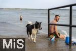 04.09.2023, Irland Land und Leute, Kstenstadt Tramore bei Waterford (Irland) im Sdosten. Ein Hund beim Baden am Pier.