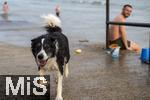 04.09.2023, Irland Land und Leute, Kstenstadt Tramore bei Waterford (Irland) im Sdosten. Ein Hund beim Baden am Pier.