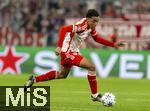 20.09.2023,  Fussball UEFA Championsleague 2023/2024: 1.Spieltag Vorrunde,  FC Bayern Mnchen - Manchester United, in der Allianz-Arena Mnchen. Jamal Musiala (FC Bayern Mnchen) am Ball.

