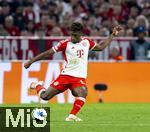 20.09.2023,  Fussball UEFA Championsleague 2023/2024: 1.Spieltag Vorrunde,  FC Bayern Mnchen - Manchester United, in der Allianz-Arena Mnchen. Kingsley Coman (FC Bayern Mnchen)  am Ball.

