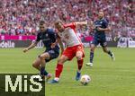 23.09.2023, Fussball 1. Bundesliga 2023/2024, 5.Spieltag, FC Bayern Mnchen - VfL Bochum, in der Allianz-Arena Mnchen. von links:  Matus Bero (VfL Bochum) gegen Harry Kane (FC Bayern Mnchen) 

