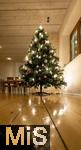 15.11.2023, Weihnachten 2023 in Deutschland, Ein festlich dekorierter Weihnachtsbaum in einer Wohnung im Unterallgäu. 