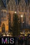 20.11.2023, Hauptstadt Wien (Österreich) erstrahlt im vorweihnachtlichem Glanz, impressionen vom Stephansdom, mit dem großen Christbaum.