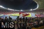 21.11.2023, Fussball, Lnderspiel, Testspiel 2023/24, sterreich - Deutschland, im Ernst Happel Stadion Wien, Fans schwenken ihre Landesflaggen auf der Tribne.


