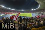 21.11.2023, Fussball, Lnderspiel, Testspiel 2023/24, sterreich - Deutschland, im Ernst Happel Stadion Wien, Fans schwenken ihre Landesflaggen auf der Tribne.


