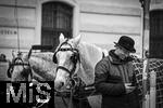 21.11.2023, sterreich, die Hauptstadt Wien. Fiaker warten auf Touristen an der Hofburg. 