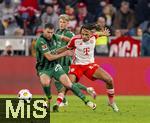 03.02.2024, Fussball 1. Bundesliga 2023/2024, 20.Spieltag, FC Bayern Mnchen - Borussia Mnchengladbach, in der Allianz-Arena Mnchen.  v.li: Joe Scally (Borussia Mnchengladbach) gegen Sacha Boey (FC Bayern Mnchen) 


